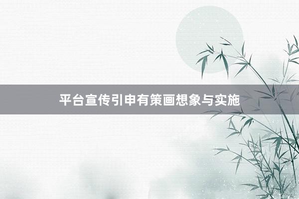 平台宣传引申有策画想象与实施